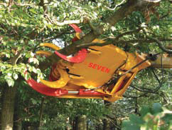 treashear2